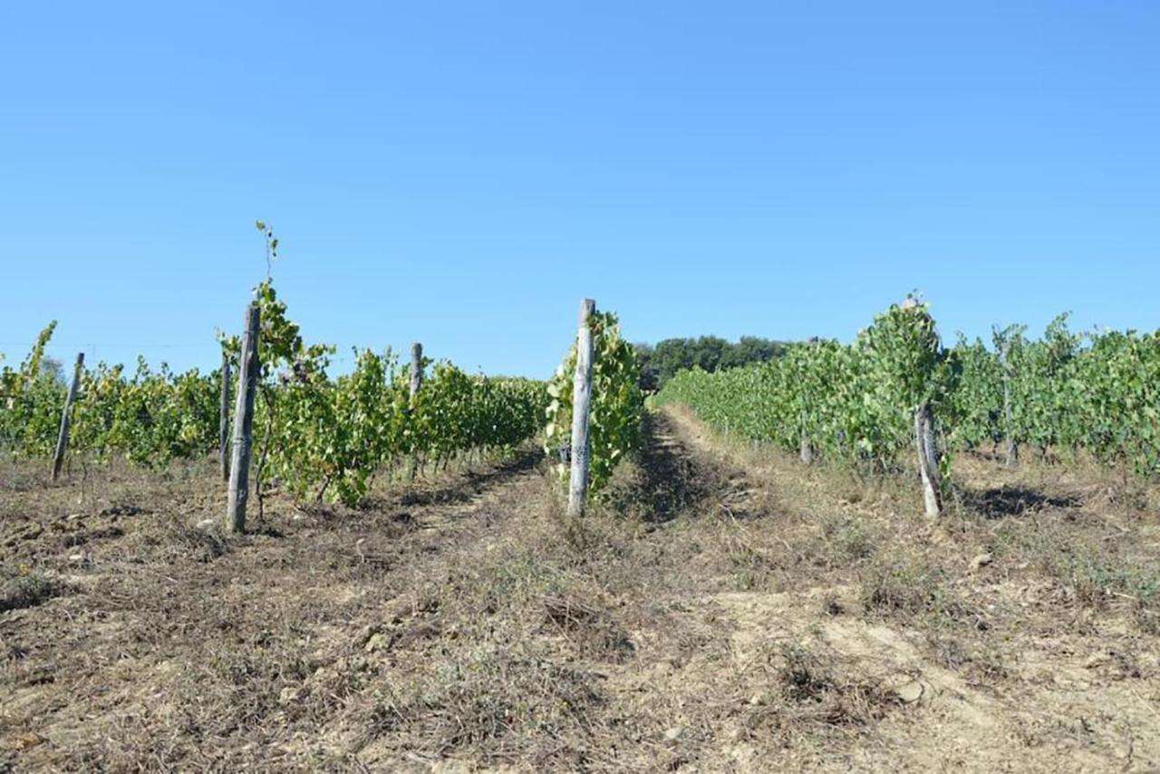 Agriturismo Fattoria Di Statiano Pomarance Ngoại thất bức ảnh